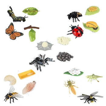 Življenjski Cikel Figurice Metulj Pajek Čebel Ladybug Pastirjev, Plastični Žuželk Žuželka Številke Igrač, Šolskih Projektov za Otroke